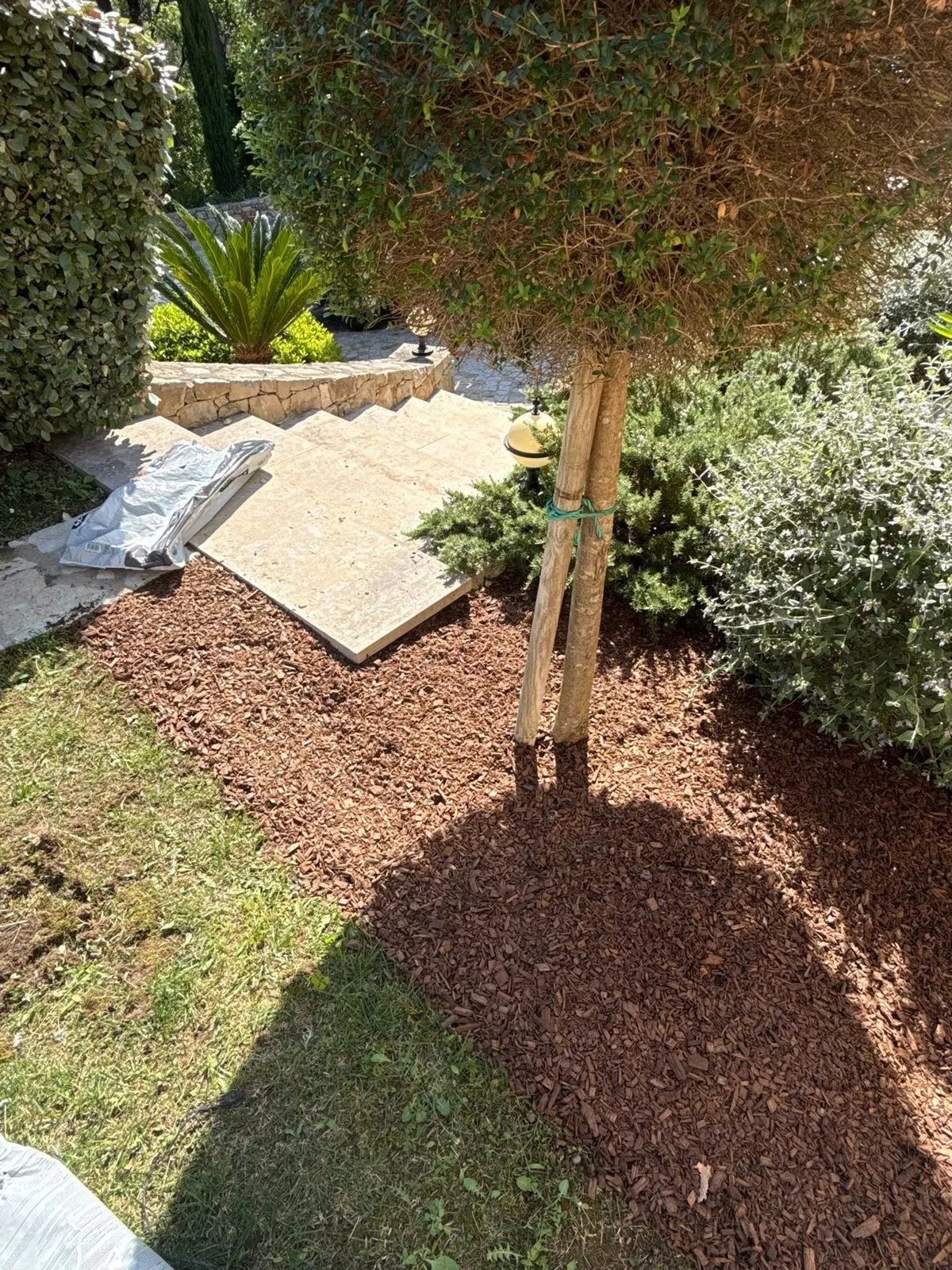 Massif paillé avec arbre tige et escalier en pierre