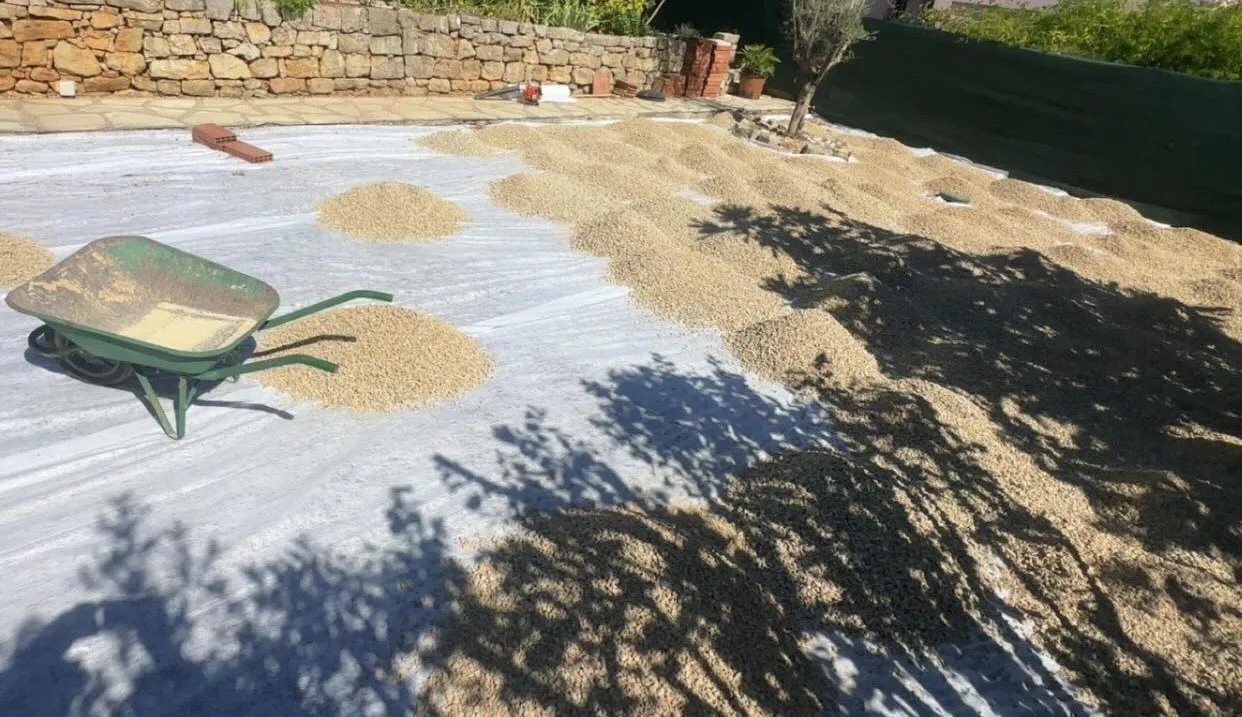 Géotextile posé sur tout le terrain et tas de gravier répartis à la brouette